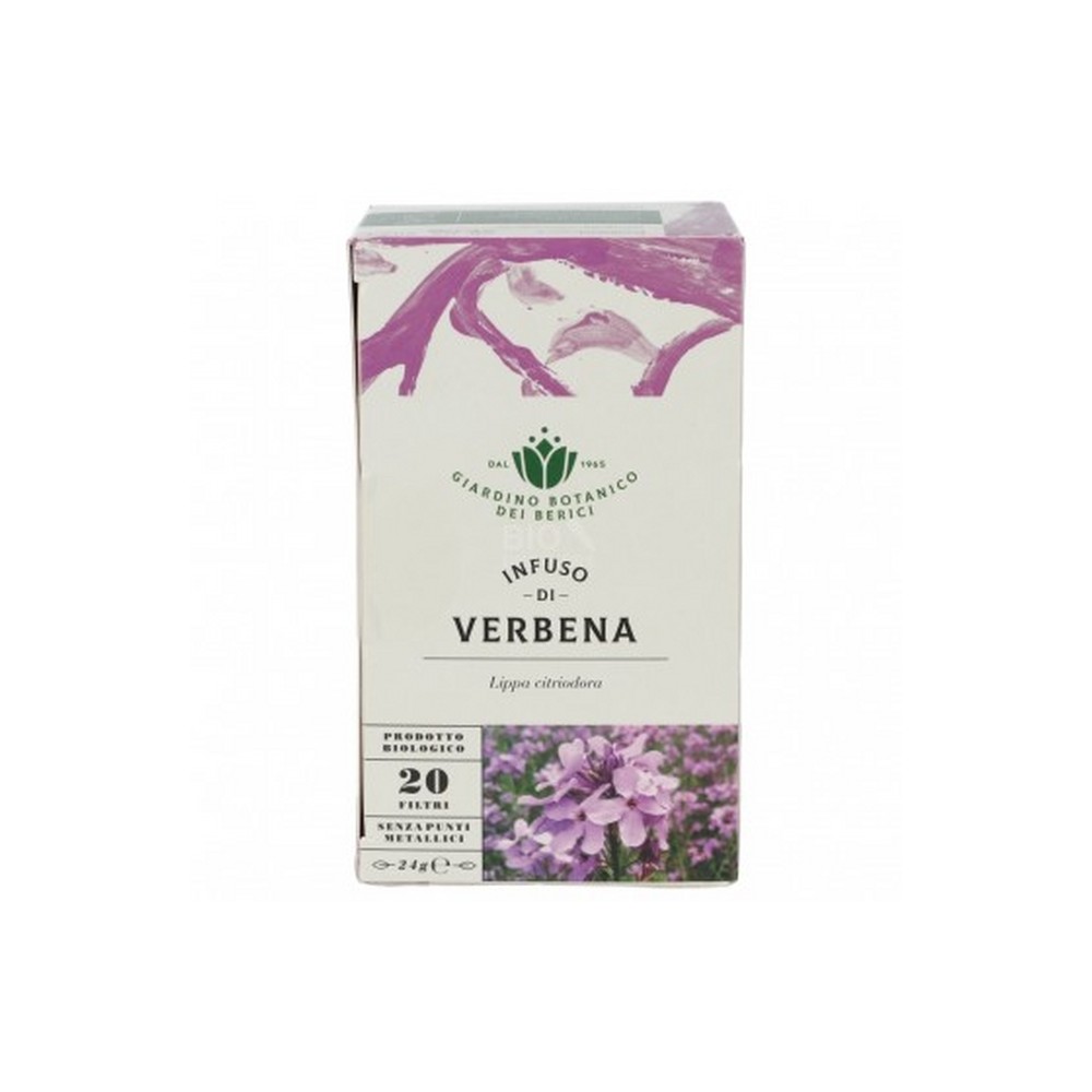 VERBENA IN FILTRO  G24 BERICI